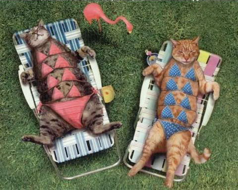 Sunbathers